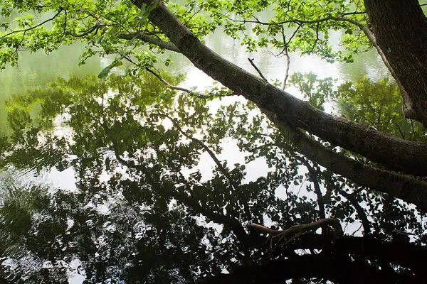 Park Maksimir