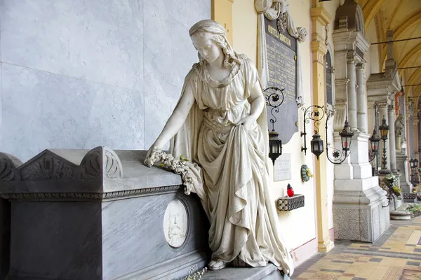 Cmentarz Mirogoj