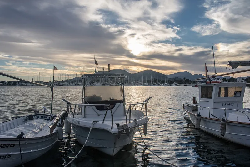 Alcudia