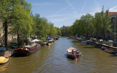Amsterdamski kanał obsadzony drzewami, z zacumowanymi barkami i płynącą łodzią