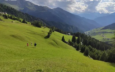 Zielone zbocza austriackich Alp latem