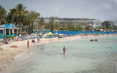 Piaszczysta plaża w Ayia Napa z turkusową wodą