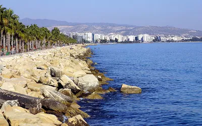 Kamienny falochron, palmy i wysokie budynki nad wybrzeżem Limassol