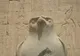 Granitowy posąg sokoła Horusa przed ścianą z płaskorzeźbami w świątyni w Edfu
