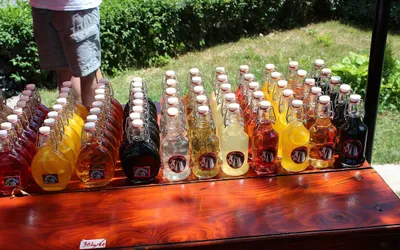 Butelki z domowymi rakijami w różnych kolorach na drewnianym stoliku