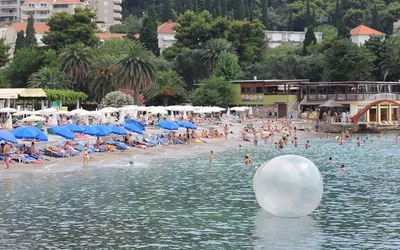 Plaża Lapad w Dubrowniku