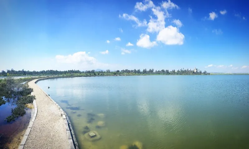 Słone Jezioro Larnaka