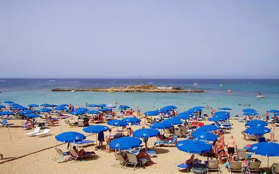 Plaża w Zatoce Figowców (Fig Tree Bay)