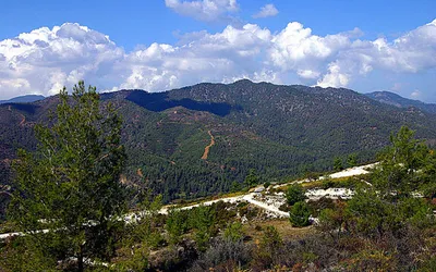 Zalesione zbocza gór Troodos