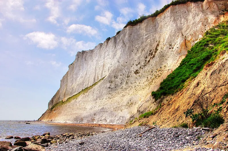 Białe klify Møns Klint nad Bałtykiem w Danii