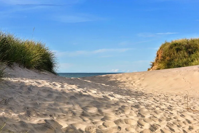 Słoneczna plaża z wydmami nad Morzem Północnym w Danii
