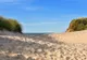 Słoneczna plaża z wydmami nad Morzem Północnym w Danii