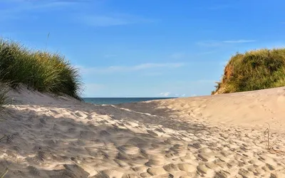 Słoneczna plaża z wydmami nad Morzem Północnym w Danii