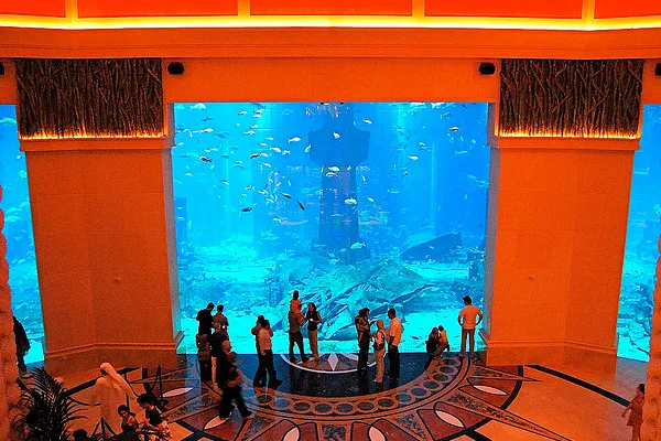 Wielkie akwarium w hotelu Atlantis na Palmie Dżumeirah