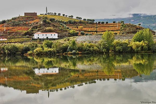 Widok na rzekę Douro