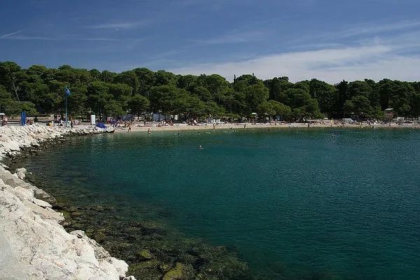 Zatoka z plażą Dražica w Biogradzie na Moru, otoczona sosnowym lasem