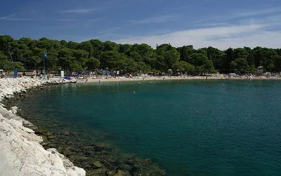 Zatoka z plażą Dražica w Biogradzie na Moru, otoczona sosnowym lasem