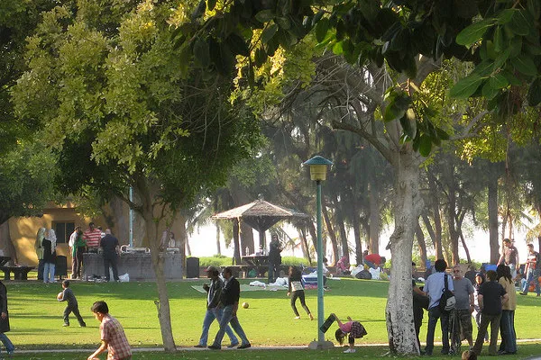 Piątkowe popołudnie z parku Jumeirah Beach