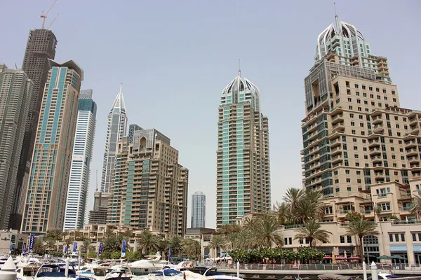 Wieżowce mieszkalne i palmy nad przystanią jachtową w Dubai Marina