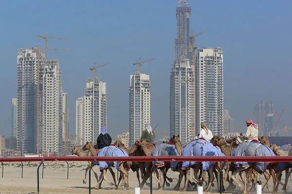 Wyścig wielbłądów na tle wieżowców Dubaju