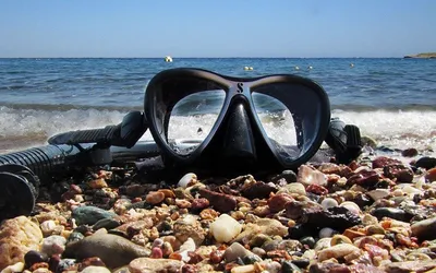 Osoba snorkelująca w przejrzystej wodzie Morza Czerwonego