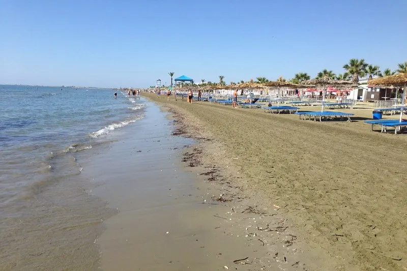 Szeroka piaszczysta plaża Finikoudes z leżakami i palmami w Larnace