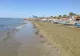 Szeroka piaszczysta plaża Finikoudes z leżakami i palmami w Larnace