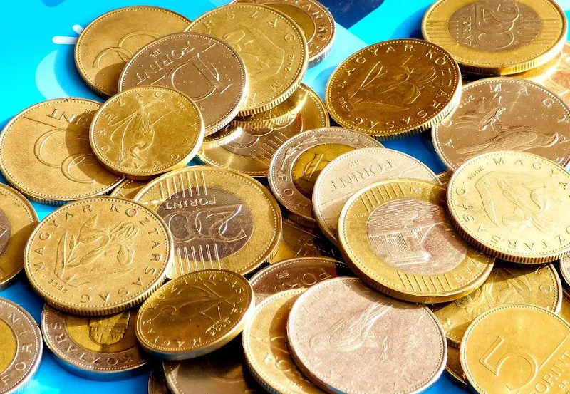 Forint, monety