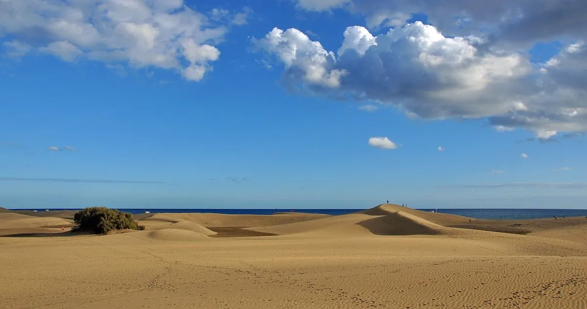 Złote wydmy Maspalomas na południu Gran Canarii, w tle ocean