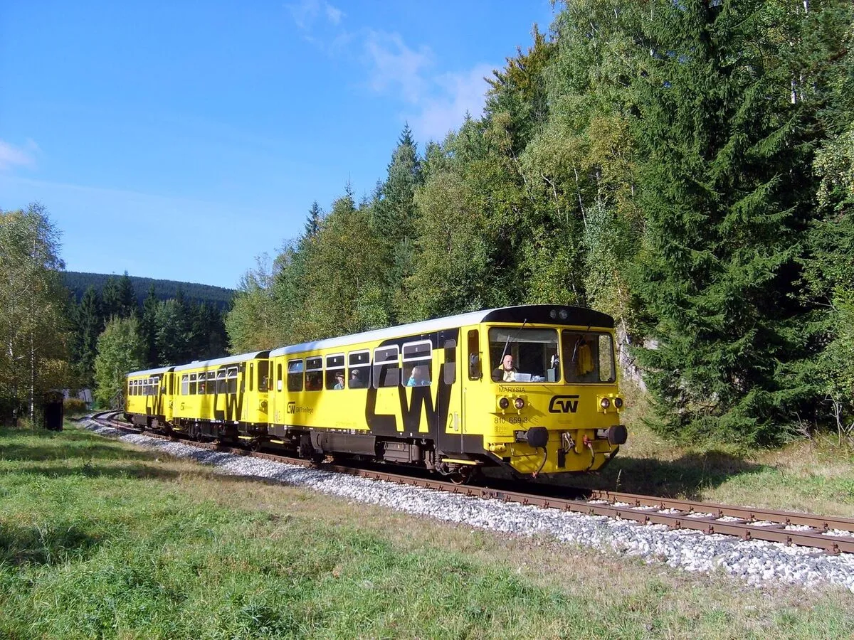 Żółty pociąg GW Train Regio jadący leśną trasą na linii Harrachov – Szklarska Poręba Górna