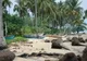 Łodzie rybackie na piaszczystej plaży wśród palm