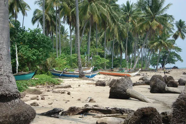 Łodzie rybackie na piaszczystej plaży wśród palm