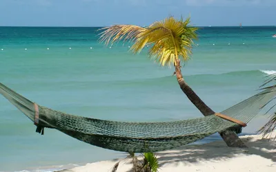 Hamak rozpięty przy palmie nad turkusowym morzem na jamajskiej plaży