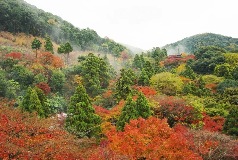 Japonia jesienią