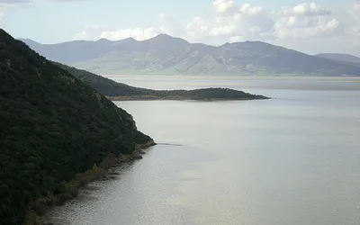 Widok z zalesionego zbocza Jebel Ichkeul na jezioro Ichkeul i góry na horyzoncie
