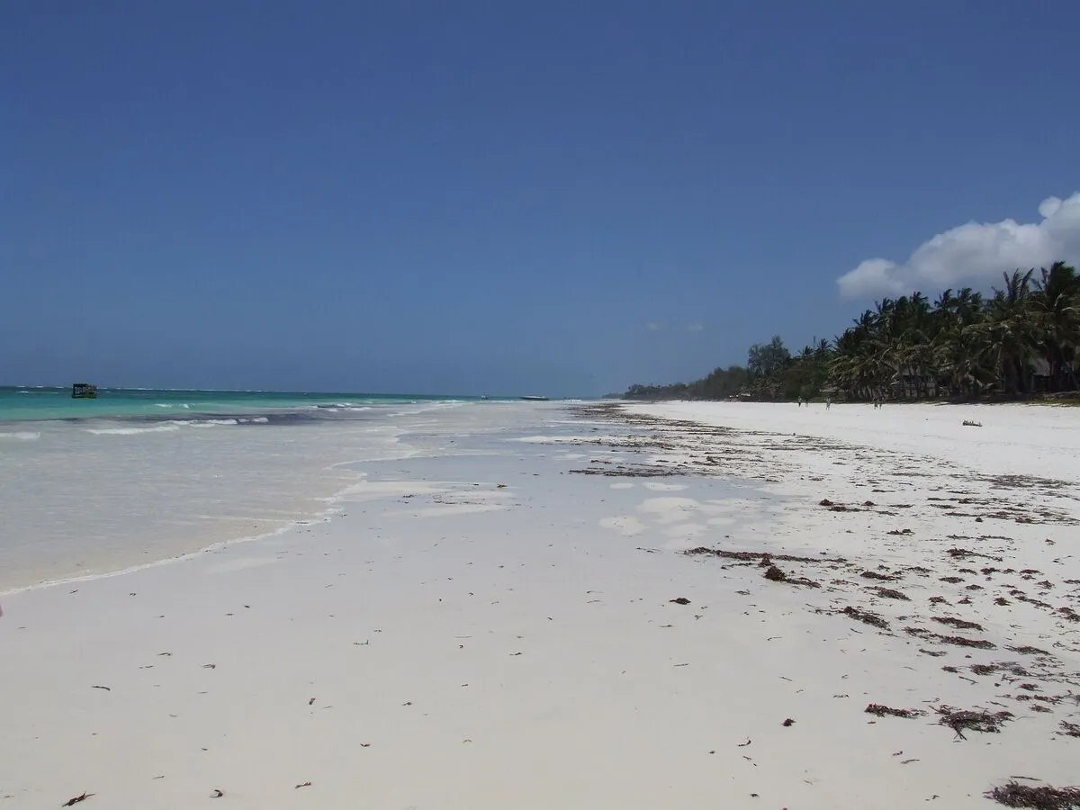 Biały piasek i turkusowa woda na plaży Diani, po prawej palmy kokosowe