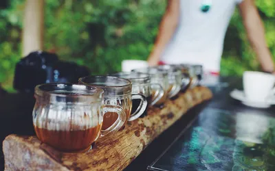 Degustacja kaw i herbat w szklanych filiżankach na plantacji na Bali