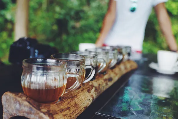 Degustacja kaw i herbat w szklanych filiżankach na plantacji na Bali