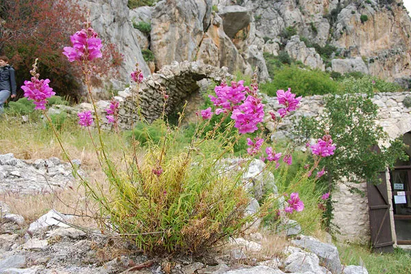 Natura i architektura w paśmie górskim Kyrenii