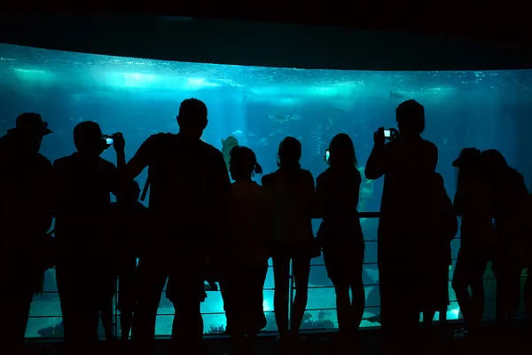 Zwiedzający przed głównym akwarium Oceanarium w Lizbonie
