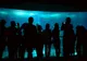 Zwiedzający przed głównym akwarium Oceanarium w Lizbonie