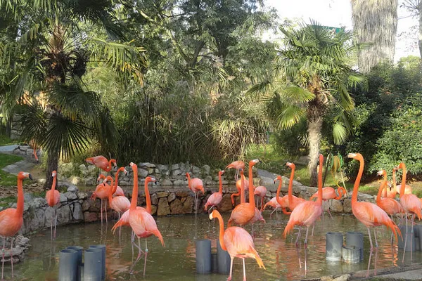 Lizbońskie Zoo to kolejna atrakcja dla całej rodziny