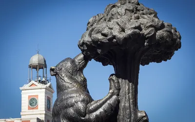 Rzeźba niedźwiedzia sięgającego po owoce drzewa poziomkowego na Puerta del Sol w Madrycie