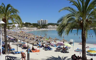 Plaża pełna parasoli