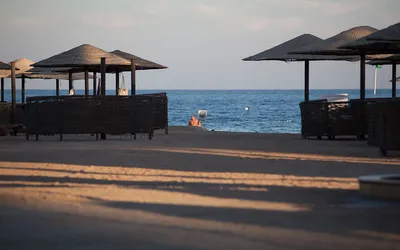 Basen z mostkiem i palmami w jednym z hoteli w Makadi Bay