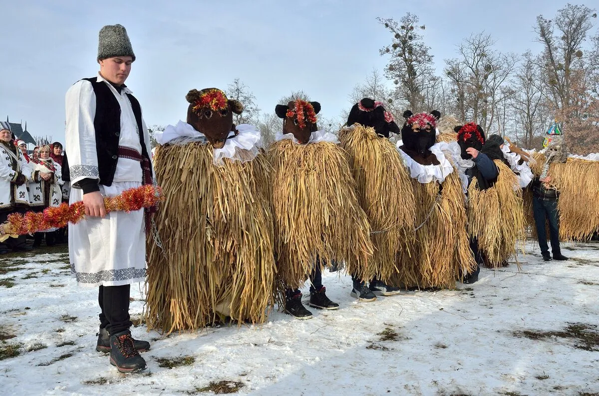 Przebrańcy w słomianych kostiumach niedźwiedzi podczas Malanki