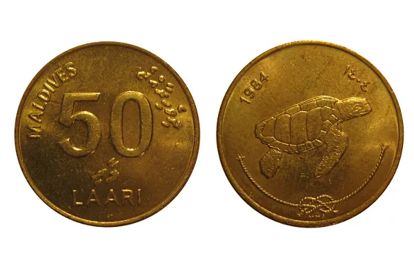 Awers i rewers malediwskiej monety 50 laari z żółwiem morskim
