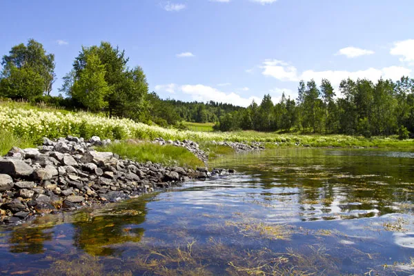 Okolice Vågland