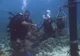 Dwaj nurkowie podają sobie ręce nad rafą koralową przy stacji pomiarowej w Discovery Bay na Jamajce