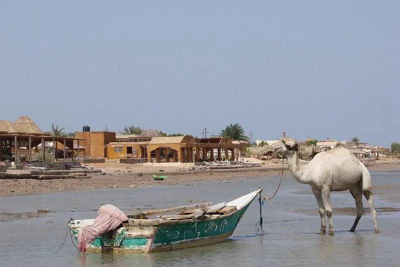 Nuweiba to niewielka miejscowość położona nad Zatoką Akaba